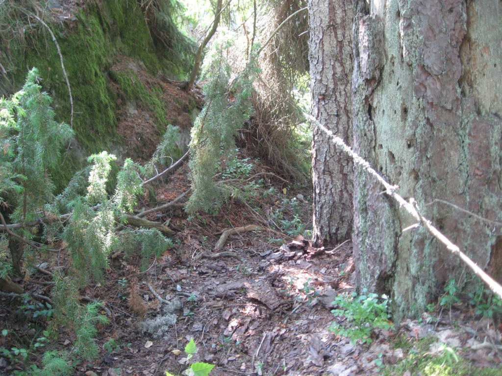 Puiden ja kalliorintauksen välinen tila, kuvan suunta alamäkeen, kohti rantapromenaadia